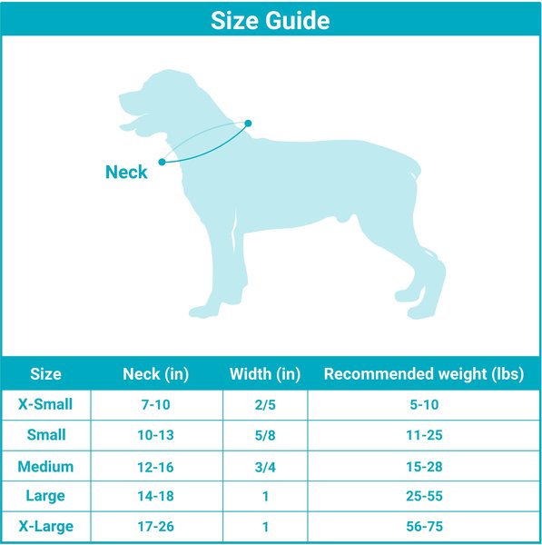 Show full view: CollarDirect Tribal Aztec Nylon Dog Collar, Pattern 1, Small: 10 to 13-in neck, 5/8-in wide slide 2 of 8