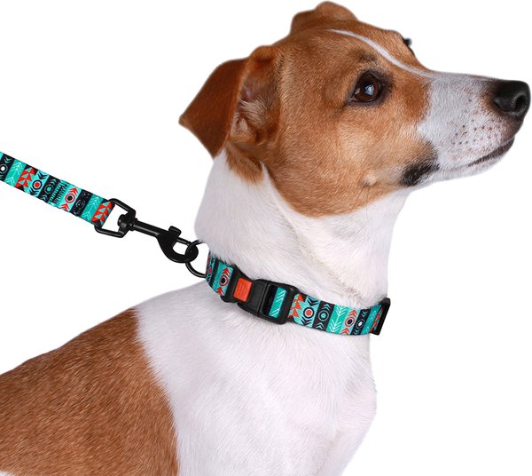 Show full view: CollarDirect Tribal Aztec Nylon Dog Collar, Pattern 1, Small: 10 to 13-in neck, 5/8-in wide slide 3 of 8