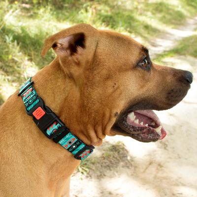 Show full view: CollarDirect Tribal Aztec Nylon Dog Collar, Pattern 1, X-Large: 17 to 26-in neck, 1-in wide slide 3 of 10