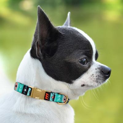Show full view: CollarDirect Tribal Aztec Nylon Dog Collar, Pattern 1, X-Small: 7 to 10-in neck, 2/5-in wide slide 4 of 8
