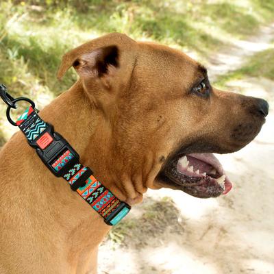 Show full view: CollarDirect Tribal Aztec Nylon Dog Collar, Pattern 2, Large: 14 to 18-in neck, 1-in wide slide 4 of 9