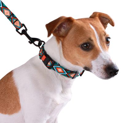 Show full view: CollarDirect Tribal Aztec Nylon Dog Collar, Pattern 3, Small: 10 to 13-in neck, 5/8-in wide slide 4 of 9