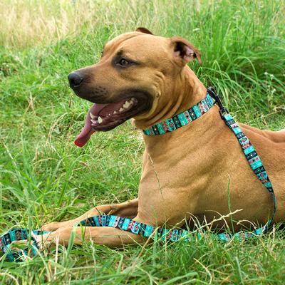 Show full view: CollarDirect Tribal Aztec Nylon Dog Leash, Pattern 1, Small: 5-ft long, 5/8-in wide slide 6 of 7