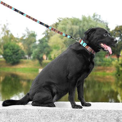 Show full view: CollarDirect Tribal Aztec Nylon Dog Leash, Pattern 2, Medium: 5-ft long, 3/4-in wide slide 5 of 6