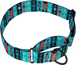 CollarDirect Tribal Aztec Nylon Martingale Dog Collar, Pattern 1, Medium: 15 to 20-in neck, 1.5-in wide