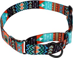 CollarDirect Tribal Aztec Nylon Martingale Dog Collar, Pattern 2, Large: 19 to 24-in neck, 1.5-in wide