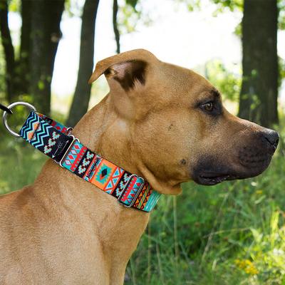 Show full view: CollarDirect Tribal Aztec Nylon Martingale Dog Collar, Pattern 2, Medium slide 3 of 10