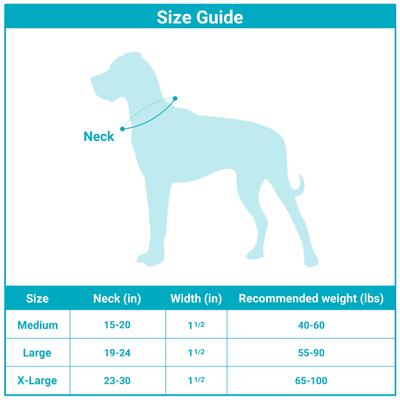 Show full view: CollarDirect Tribal Aztec Nylon Martingale Dog Collar, Pattern 3, Large: 19 to 24-in neck, 1.5-in wide slide 2 of 10