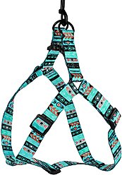 CollarDirect Tribal Aztec Nylon Step In Back Clip Dog Harness, Pattern 1, Medium: 18 to 22-in chest