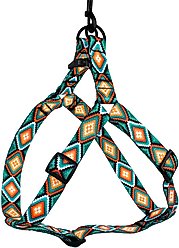 CollarDirect Tribal Aztec Nylon Step In Back Clip Dog Harness, Pattern 3, Medium