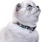 Show in main carousel: CollarDirect Tribal Breakaway Buckle Cat Collar, Pattern 3 slide 4 of 5