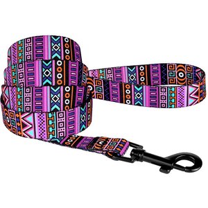 CollarDirect Tribal Pattern Aztec Design Nylon Dog Leash, Multicolor 2, Large