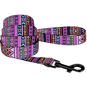 CollarDirect Tribal Pattern Aztec Design Nylon Dog Leash, Multicolor 2, Medium