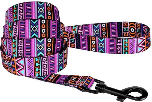 Show full view: CollarDirect Tribal Pattern Aztec Design Nylon Dog Leash, Multicolor 2, Medium slide 1 of 5
