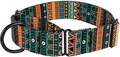 CollarDirect Tribal Pattern Aztec Design Nylon Martingale Dog Collar, Multicolor 1, Large