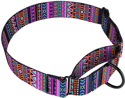 Show full view: CollarDirect Tribal Pattern Aztec Design Nylon Martingale Dog Collar, Multicolor 2, Large slide 3 of 5