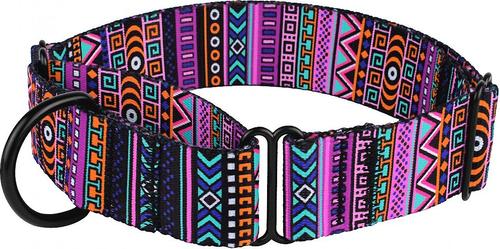 Show full view: CollarDirect Tribal Pattern Aztec Design Nylon Martingale Dog Collar, Multicolor 2, Medium slide 1 of 5