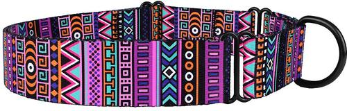 Show full view: CollarDirect Tribal Pattern Aztec Design Nylon Martingale Dog Collar, Multicolor 2, Medium slide 2 of 5