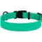 Show in main carousel: CollarDirect Waterproof PVC Coated Dog Collar, Mint Green, Large slide 3 of 5