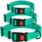 Show in main carousel: CollarDirect Waterproof PVC Coated Dog Collar, Mint Green, Large slide 4 of 5