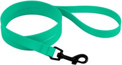 CollarDirect Waterproof PVC Coated Dog Leash, Mint Green, Large