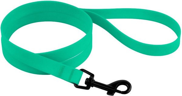 Show full view: CollarDirect Waterproof PVC Coated Dog Leash, Mint Green, Large slide 1 of 5