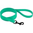 Show in main carousel: CollarDirect Waterproof PVC Coated Dog Leash, Mint Green, Large slide 1 of 5