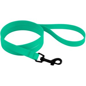 CollarDirect Waterproof PVC Coated Dog Leash, Mint Green, Large