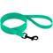Show in main carousel: CollarDirect Waterproof PVC Coated Dog Leash, Mint Green, Large slide 1 of 5