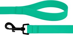 CollarDirect Waterproof PVC Coated Dog Leash, Mint Green, Large slide 2 of 5
