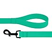 Show in main carousel: CollarDirect Waterproof PVC Coated Dog Leash, Mint Green, Large slide 2 of 5