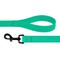 Show in main carousel: CollarDirect Waterproof PVC Coated Dog Leash, Mint Green, Large slide 2 of 5