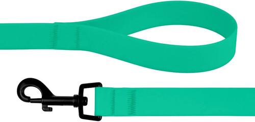 Show full view: CollarDirect Waterproof PVC Coated Dog Leash, Mint Green, Large slide 2 of 5