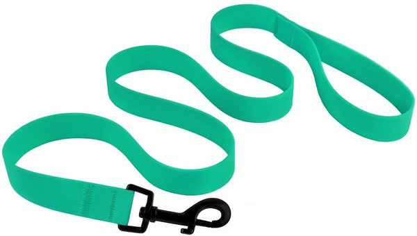 Show full view: CollarDirect Waterproof PVC Coated Dog Leash, Mint Green, Large slide 3 of 5