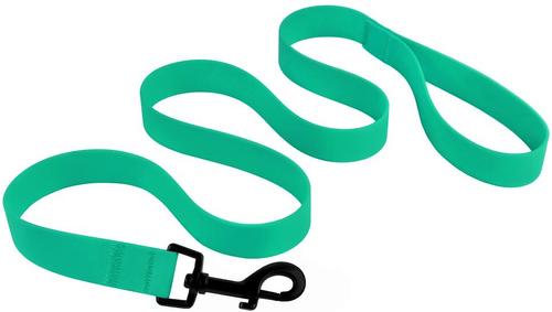 Show full view: CollarDirect Waterproof PVC Coated Dog Leash, Mint Green, Large slide 3 of 5
