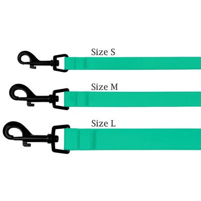 Show full view: CollarDirect Waterproof PVC Coated Dog Leash, Mint Green, Large slide 4 of 5