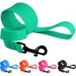 Show in main carousel: CollarDirect Waterproof PVC Coated Dog Leash, Mint Green, Large slide 5 of 5