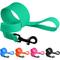 Show in main carousel: CollarDirect Waterproof PVC Coated Dog Leash, Mint Green, Large slide 5 of 5