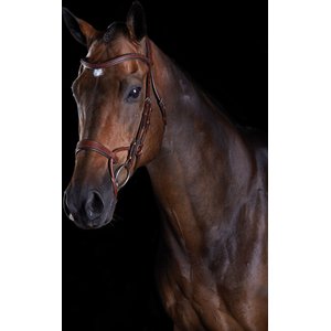 Collegiate Comfitec Training Horse Bridle, Brown, Cob