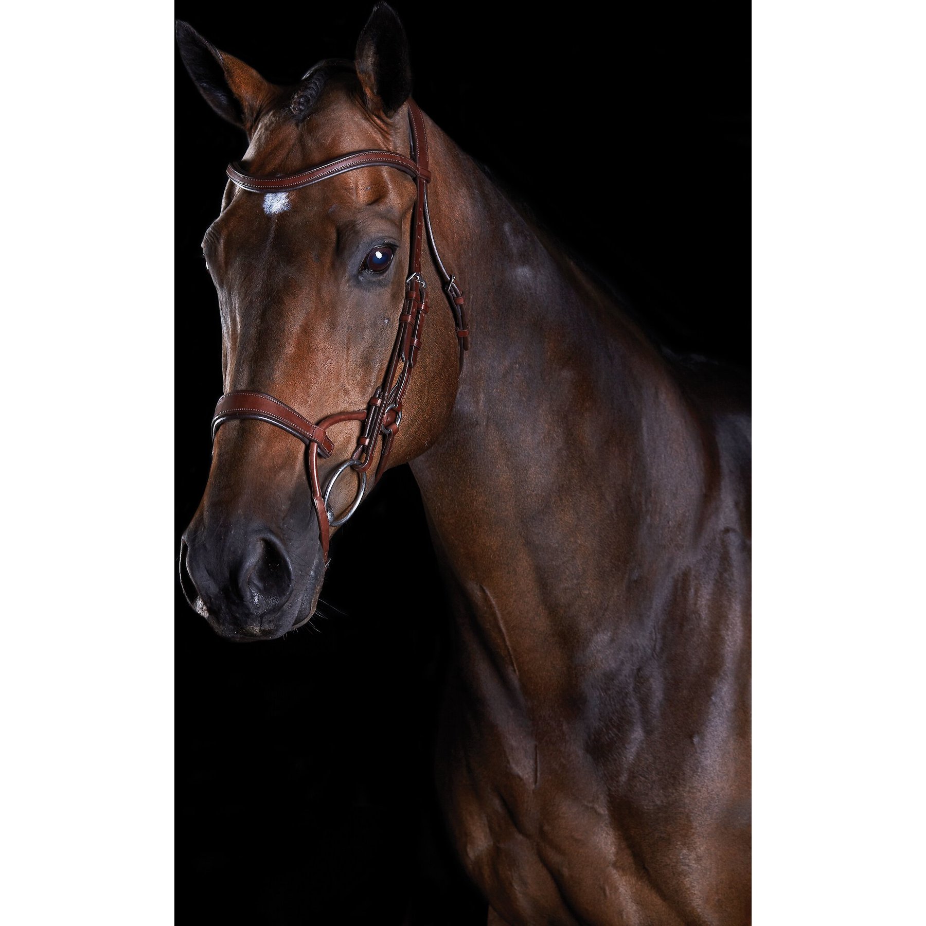 Collegiate Comfitec Training Horse Bridle, Brown, Warmblood