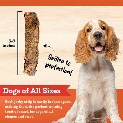 Show full view: Colorado Naturals Salmon Jerky Dog Treats, 16-oz bag slide 5 of 8