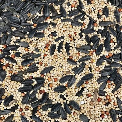 Show full view: Colorful Companions Basic Blend Wild Bird Food, 20-lb bag slide 2 of 5