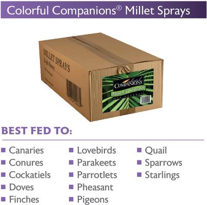 Show full view: Colorful Companions Millet Sprays Bird Food, 25-lb box slide 2 of 7
