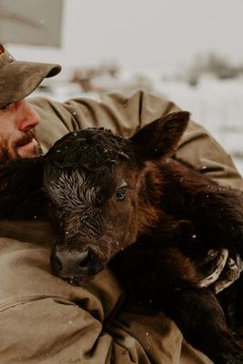 Show full view: Colostrx CS Colostrum Cattle Supplement, 350-g bag slide 4 of 4