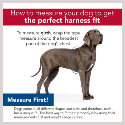 Show full view: Comfort Soft Back Clip Dog Harness, Red, X-Small: 16 to 19-in chest slide 2 of 8