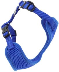 Comfort Soft Mesh Cat Harness, Blue, 11 to 14-in chest