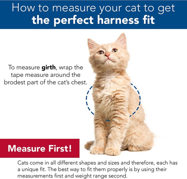 Comfort Soft Mesh Cat Harness & Leash