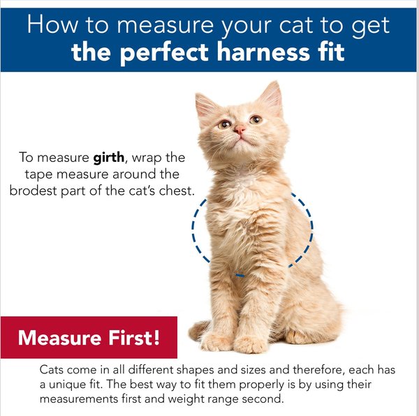 Show full view: Comfort Soft Mesh Cat Harness & Leash, Pink Bright, 11 to 14-in chest slide 5 of 6