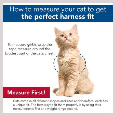 Show full view: Comfort Soft Mesh Cat Harness & Leash, Red, 11 to 14-in chest slide 4 of 5