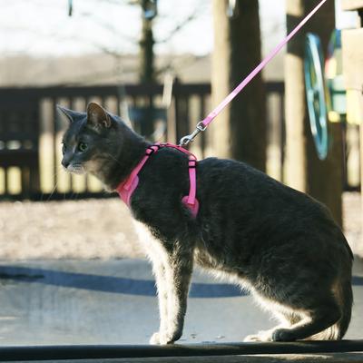 Show full view: Comfort Soft Mesh Cat Harness, Pink, 11 to 14-in chest slide 2 of 11